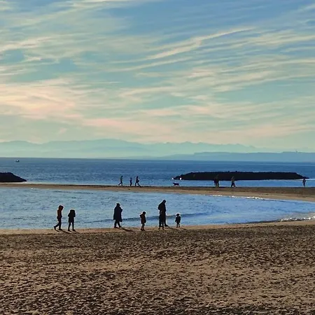 Riboleys - T3 A 400m De La Avec Piscine Villa *