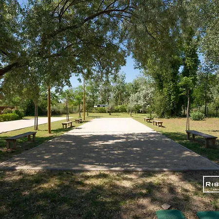 Riboleys - T3 A 400m De La Avec Piscine